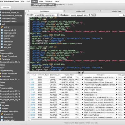Mysql Database Client 3