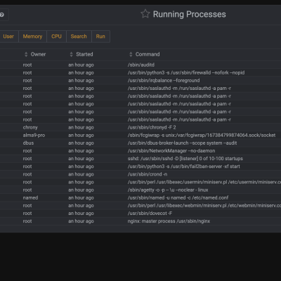 9 System Running Processes
