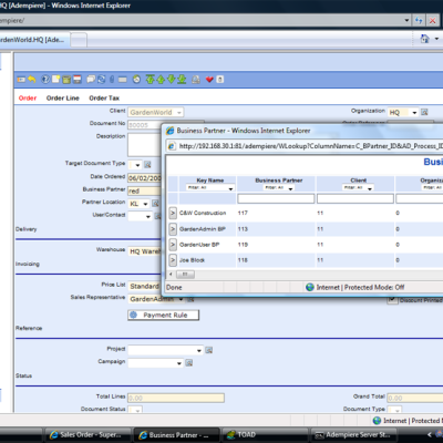 Adempiere Webmain