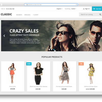 Prestashop Themes