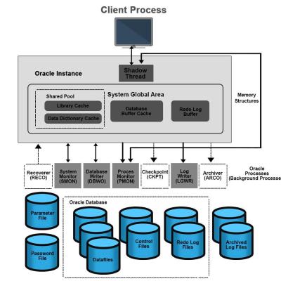 Oracle Database 1