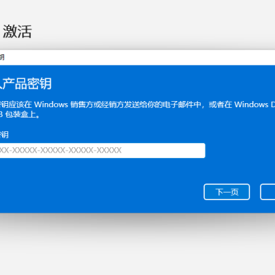 Windows Key