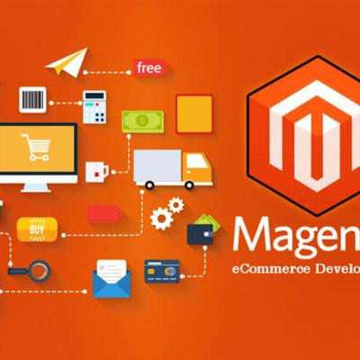 Large Design And Develop Ecommerce Magento